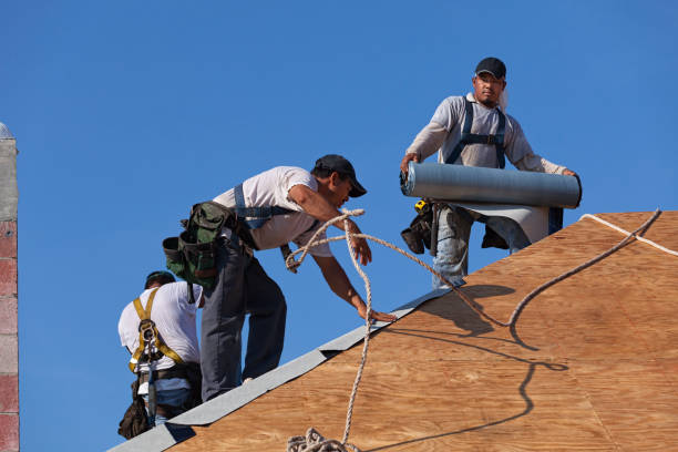 Gutter Installation and Roofing in Lake Dalecarlia, IN